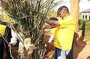MTN CEO, Themba Khumalo, helping to repair a fence in Ntarama (Photo/M. Mazimpaka).