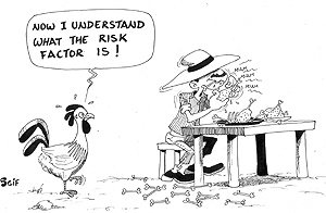 Scientists have warned against the risk of animals coming into contact with humans.