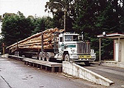 TRUCK ON WEIGHBRIDGE: Number of weigbridges are to be reduced in East Africa in order to speed up business