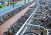 u201cBicycles a major form of transportation in Amsterdam.