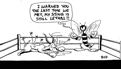 The Rwanda national football team Amavubi (Wasps) have continued to shine with 100% record after their win over Mauritania during the weekend.