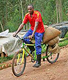 A Rwandan farmer carrying coffee on a bike: a better alternative would serve him better.