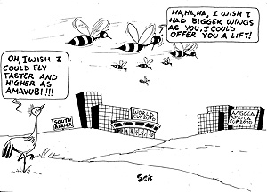 RWANDAu2019s Amavubi Stars are optimistic of qualifying for the 2010 African Cup of Nations which will be held in Angolau2019s capital, Luanda.