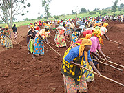 Mumeya community residents clearing the ground for laying the foundation of their hospital