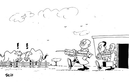 The Heifer Programme International has trained 59 volunteers to attend to urgent livestock diseases before they are treated by veterinary experts.