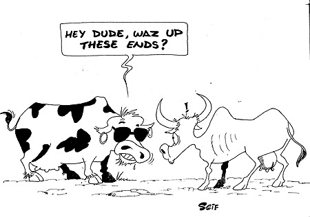 The Deputy Speaker of the Lower Chamber of Parliament, Amb. Polisi Denis, yesterday donated cows to women farmers of Rutsiro district.