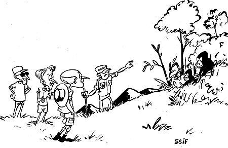 The Rwanda tourism sector recorded a massive 54 percent growth in 2008, generating about $214 million, $17 million more than what was raised in 2007, an official end of year statement from the Rwanda Office for Tourism and National Parks (ORTPN) reveals.