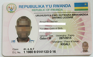 A specimen of the new electronic driving licence that is to be issued soon. (Photo J Mbanda).