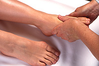 Reflex areas in the feet and hands correspond with  other body parts.