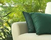 Make your room beautiful by matching furniture with plants.