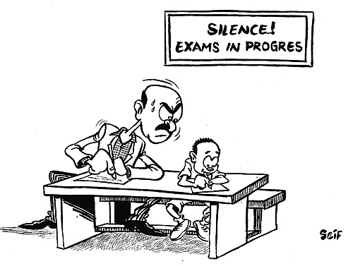 The majority of cases of cheating in the Au2019 Level examinations were by Mature candidates.