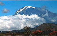 Kilimanjaro is a whopping 5,891m high.
