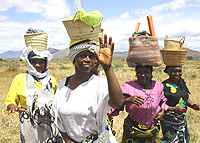 While it seems that these women will not be affected by the global downturn, they certainly will. 