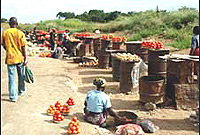 Many Zambians in rural areas depend on roadside markets for income.