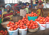Women account for over 60 percent of Africau2019s food production.