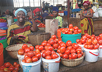 Women account for over 60 percent of Africau2019s food production.