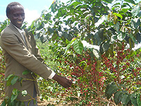 Proud coffee farmer.