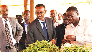 President Kagame flanked by senior government officials inspects string beans at a plantation in Masaka, Kicukiro District yesterday. (PPU Photo).