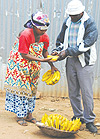 A man buys juicy bananas from a vendor