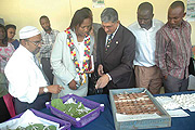 KCC Deputy mayor and Utexrwa Managing Director inspect Silk worms and cocoons at Rwandau2019s only textile industry.