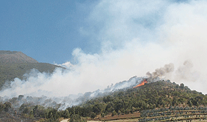 Wild fire spreads to the Uganda side of Mugahinga park.(Photo B. Mukombozi)