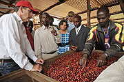Schultz working with coffee farmers