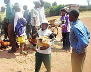 Children selling chicken in a market (Photo S. Rwembeho)