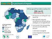 Graphic presentation of impacts of the global financial crisis in Africa.(AfDB Graphic)