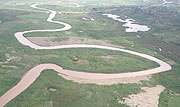 An aerial view of River Nyabarongo. (Photo/ D. Musoke)
