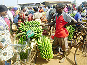 Banana  on sale at one of the local markets. (Photo S Rwembeho)