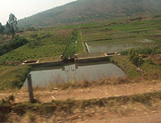 Despite challenges of water shortages, residents of Rugarama Sector strive to gather water for irrigating the  rice fields. (Photo / D. Ngabonziza)