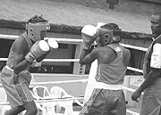 STRUGGLING: LocaL boxers in action during a past event. The boxing federation has struggled to promote the sport because of financial constraints. (File photo)