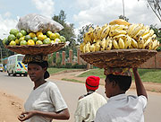 RHODA targets to increase export revenue from fruits  (File Photo)