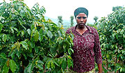 A woman in a coffee plantation