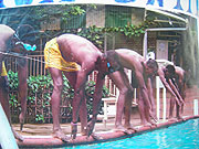 Swimmers during a previous competition (File photo) 