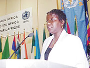 Bience Gawanas at conference.