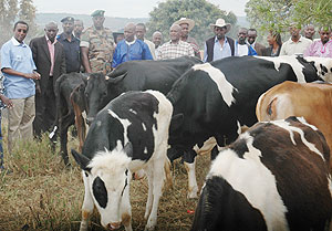 Senate President Vicent Biruta (extreme left) with Mayor of Kicukiro, Jules Ndamage (2nd L) in Girinka activity yesterday ( Photo / F. Goodman) 