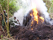 Carbon emitting. Charcoal burning, like this, is escalating climate change.