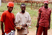 Caught red-handed; the suspects with a packet of Marijuana. (Photo F. Ntaweukuriryayo)
