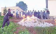 Local leaders and residents watch as banned  alcoholic drinks and marijuana goes up in flames at Byumba Police station on Monday. (Photo: A. Gahene)