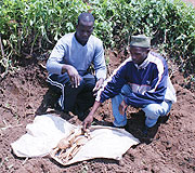John Kagoro (L) with a resident inspecting the remains at Rugando yesterday. (Photo/ F.Goodman)
