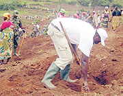 Hon. Jean Damascene Ntawukuriryayo, the Vice President of the Chamber of Deputies plants a banana sucker during Umuganda. (Photo / P. Ntambara)