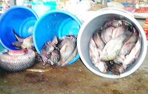 Fish in Rwamagana markets. (Photo: J.B Nkusi)