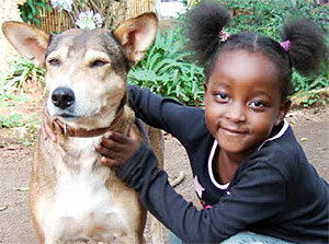 Animals deserve to be treated right because they behave much like humans as they search for food, protect their young, play, sleep, and fight.