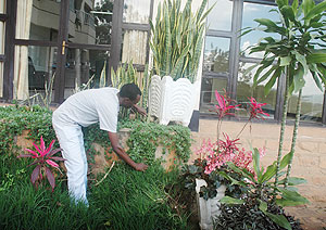 Flowers require care, time and regulated watering if they are to make your garden look baeutiful.