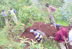 Residents of Gisuna Cell of Byumba Sector digging flood water protection trenches during Saturdayu2019s community work. (Photo / A.Gahene)