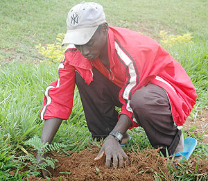 Development is directly linked to tree planting