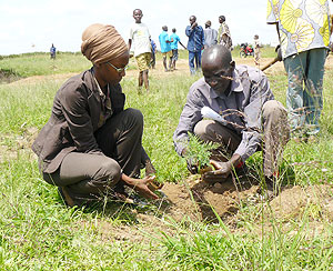Tree Planting exercise in  Rwanda, the species should be chosen carefully.