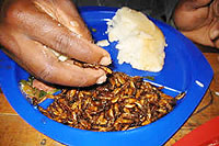 With more money this might be shunned.