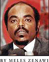 Meles Zenawi